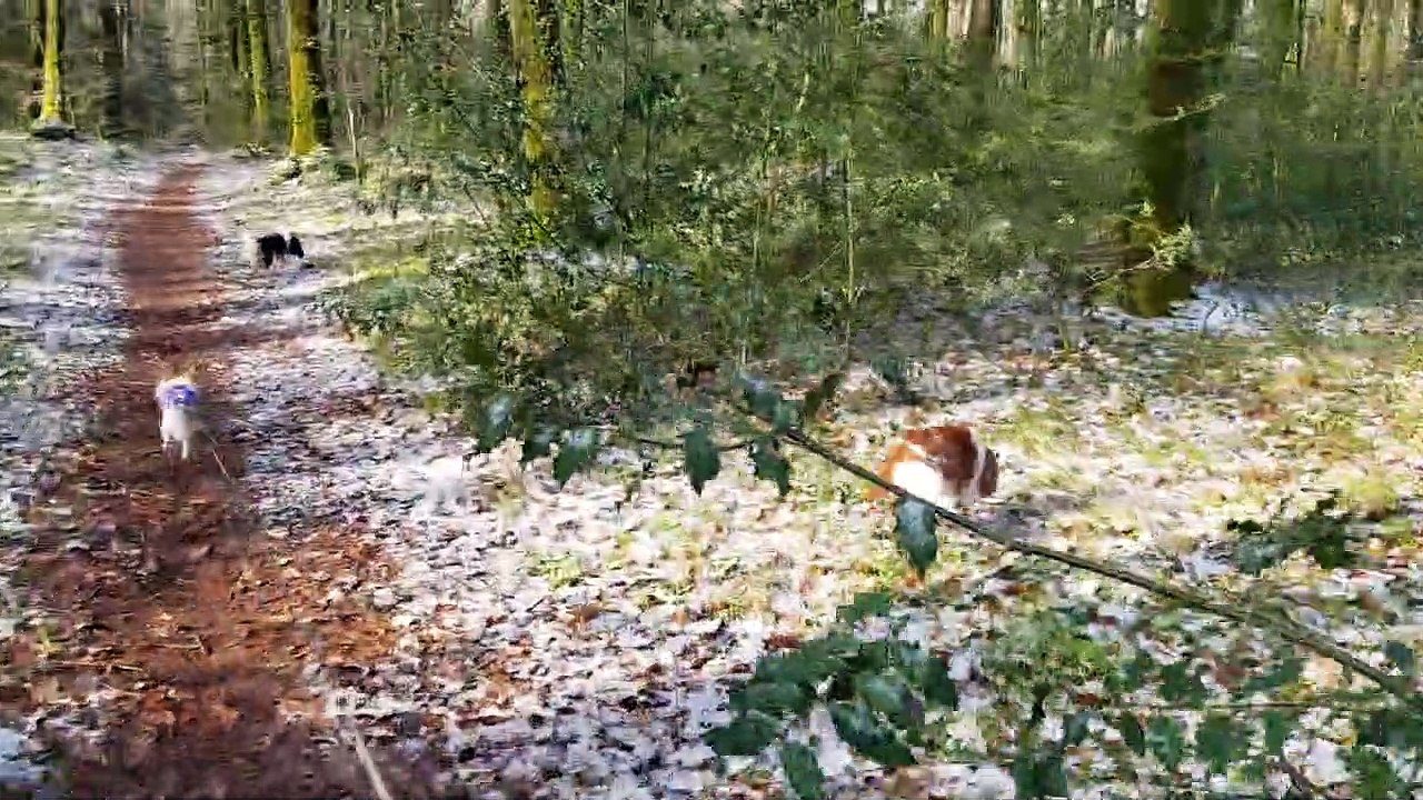 En balade avec un peu de neige