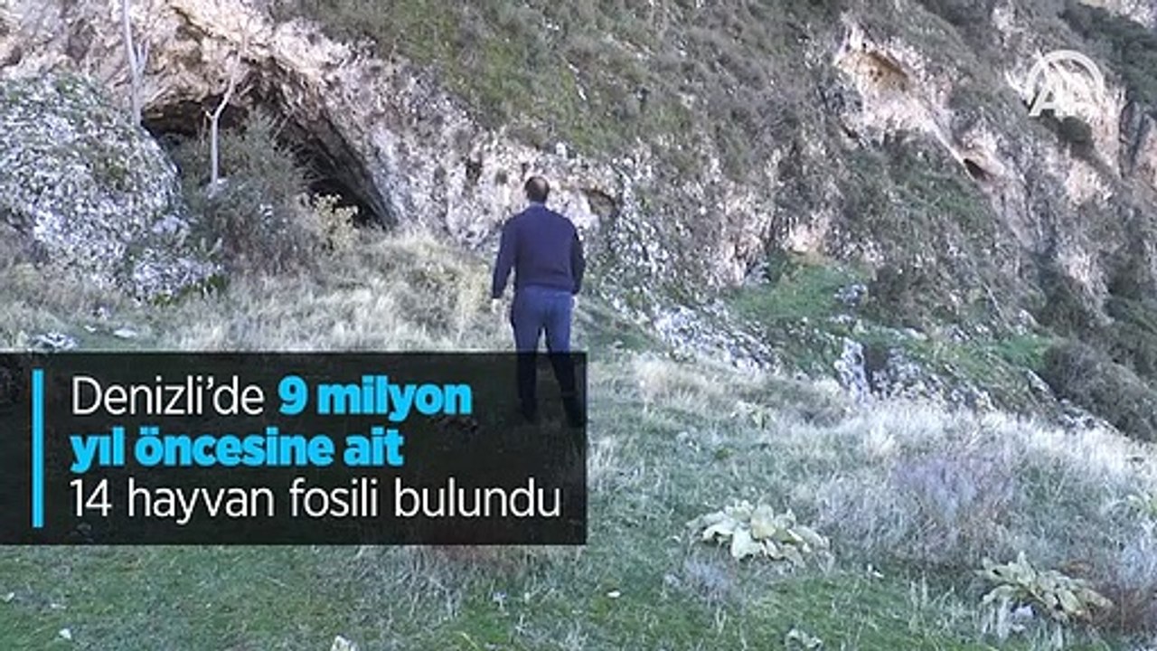 Denizli'de 9 milyon yıl öncesine ait 14 hayvan fosili bulundu