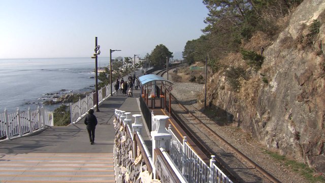 명절 모임 대신 야외로...소규모 가족 단위 해안 산책 / YTN