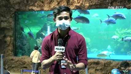 Melihat Keseruan Atraksi Baronsai Dalam Air