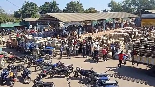 मंडी में गिरे आलू प्याज के भाव, मौसम में ठंडक के कारण फसल पर पड़ रहा विपरीत असर