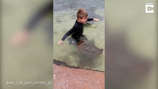 Cet enfant prend un bain de mer entouré des raies