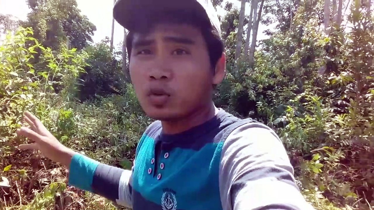 REAL ULAR TERBESAR YANG MASIH ADA