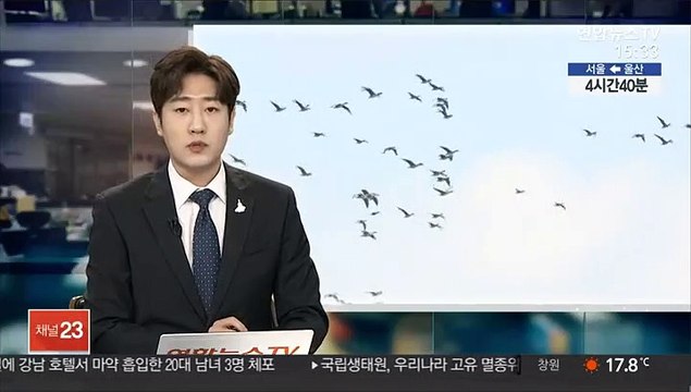 최근 엿새간 고병원성 AI 28건 확진…누적 172건
