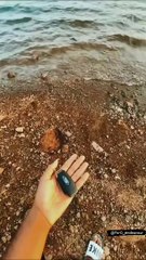 Ford endeavour new video