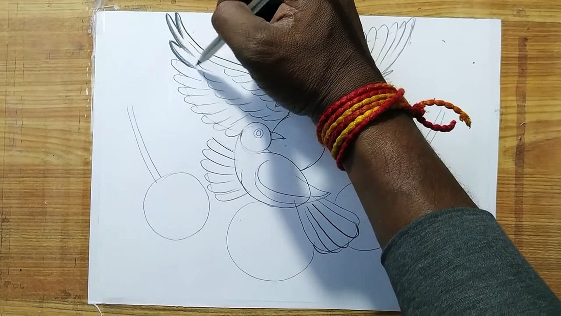 ⁣how to draw a pigeon and rose flowers with pencil sketch,how to draw birds and flowers,bird drawing,