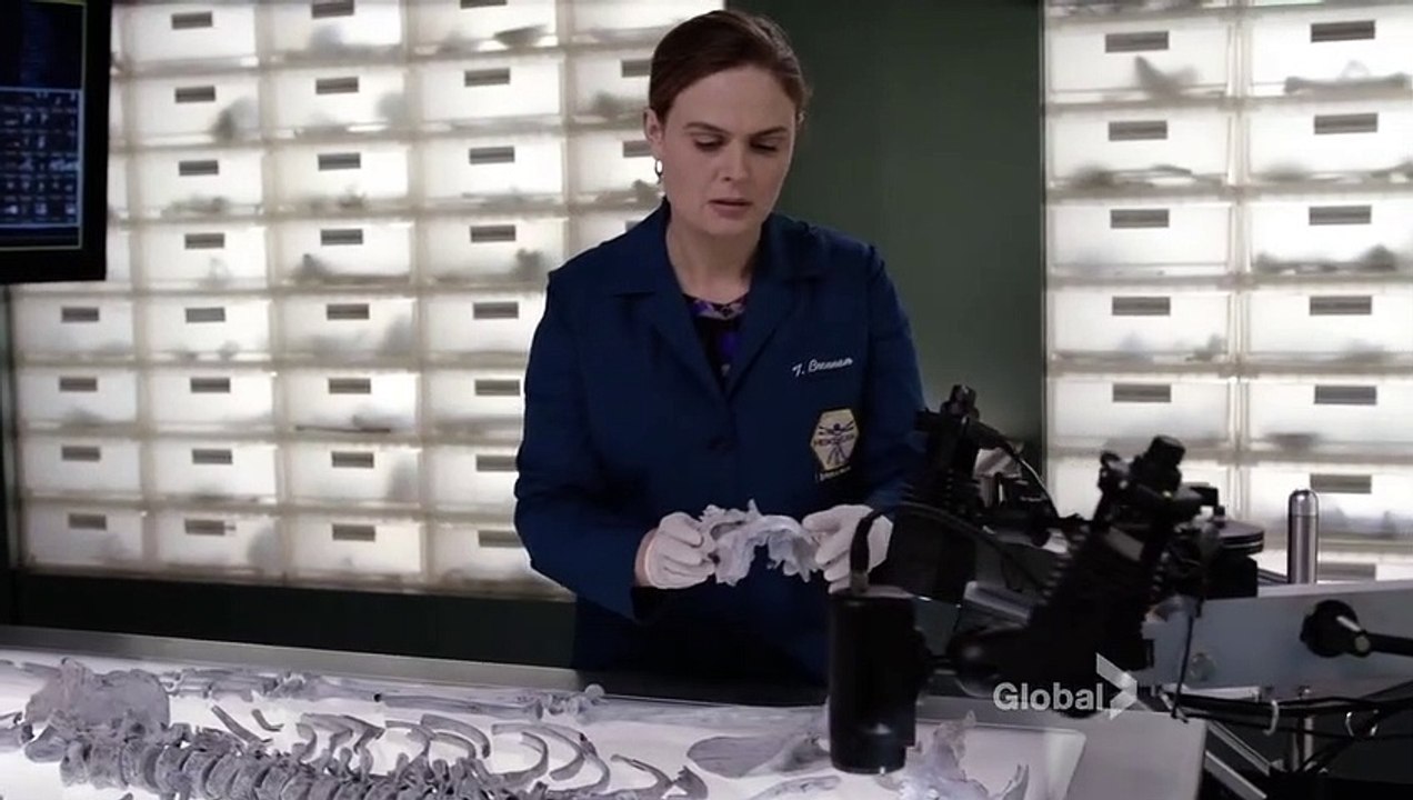 Bones 11x01 - Brennan examines the bones