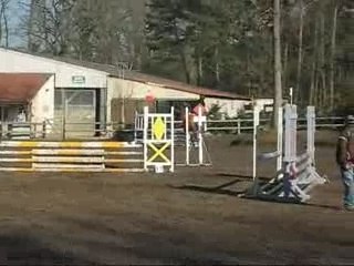 Concours d'entrainement Turnus - 24 02 08