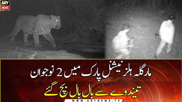 2 youngsters luckily Survived from a leopard in Margalla Hills National park