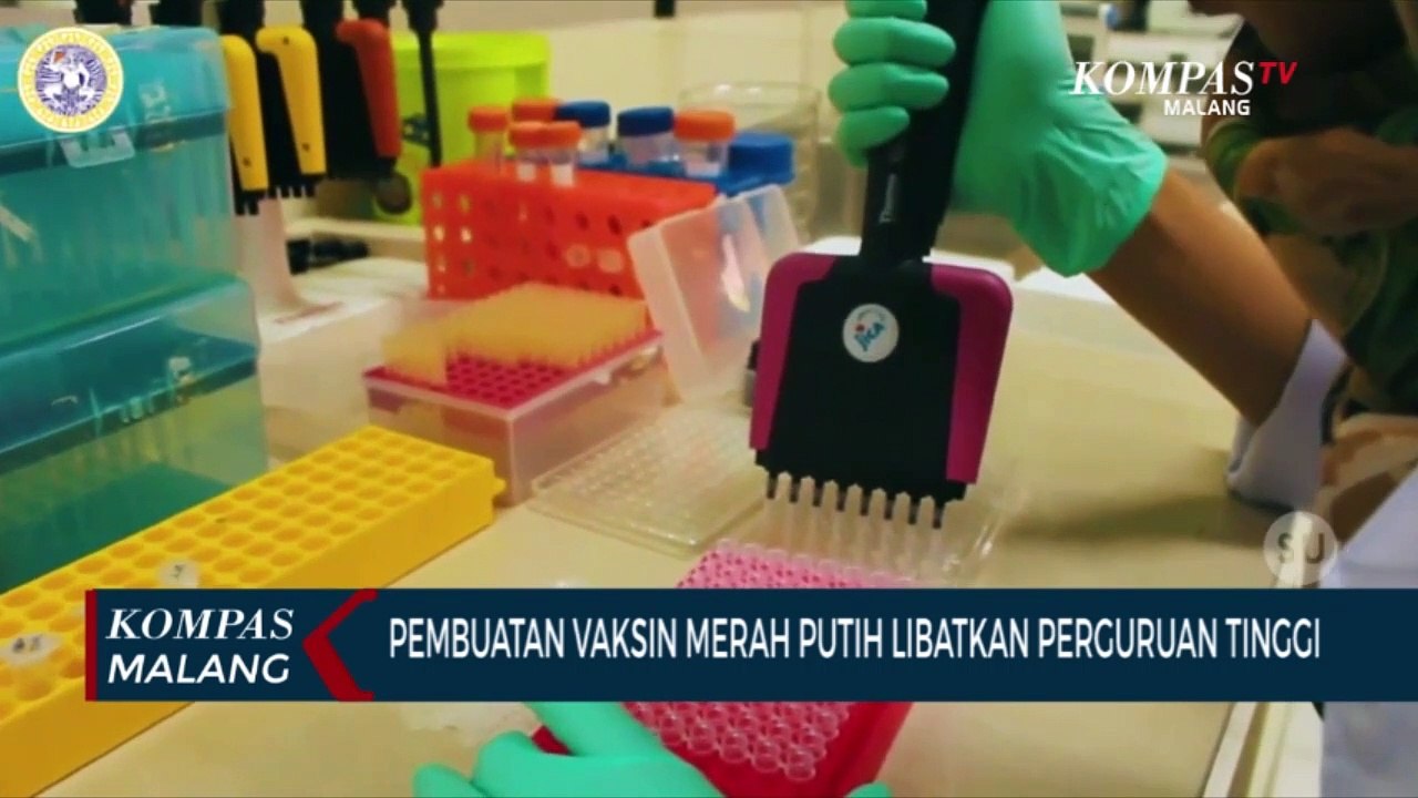 Vaksin Merah Putih Ditargetkan Selesai Uji Klinis Tahap 3 Akhir 2021