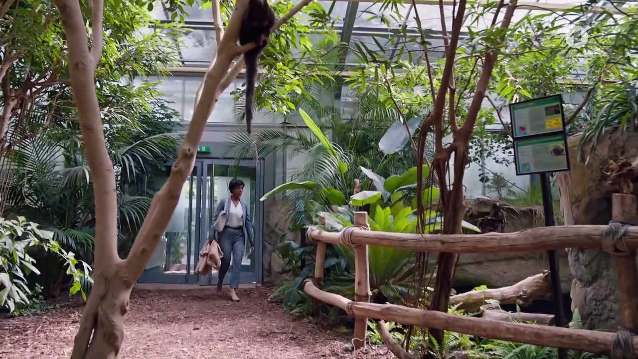 Tierärztin Dr. Mertens: Wut im Bauch | Folge 80