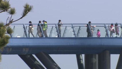 코로나 불안 속 포근한 날씨... 해안산책로 북적 / YTN