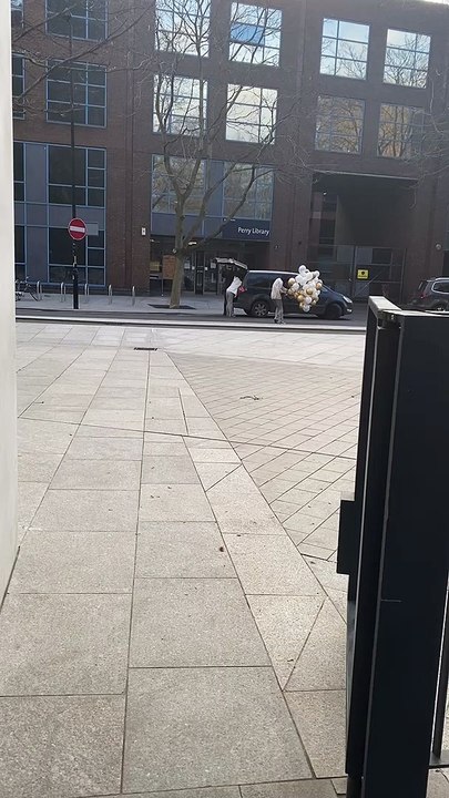 Balloons Drag Woman Down in Heavy Wind