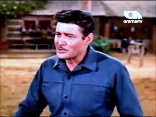 Bonanza 163 Los Compañeros en Español