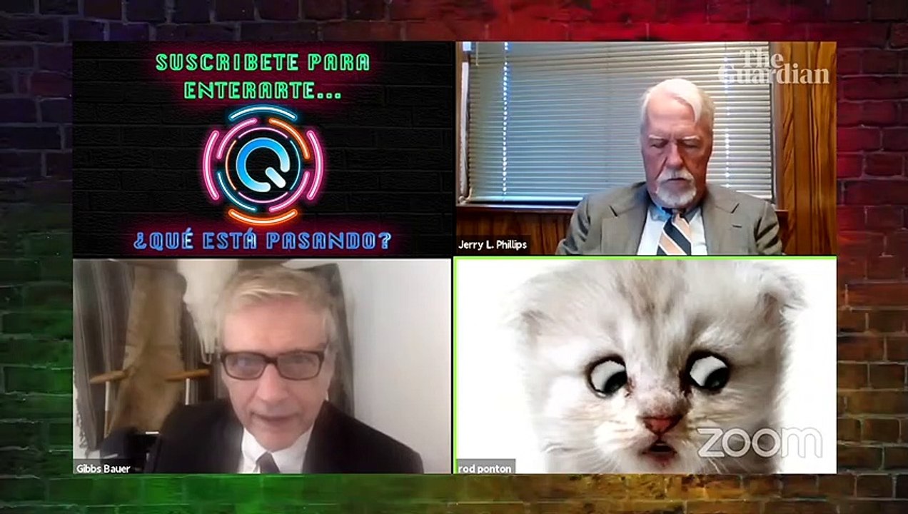 ABOGADO se vuelve GATO por FILTRO
