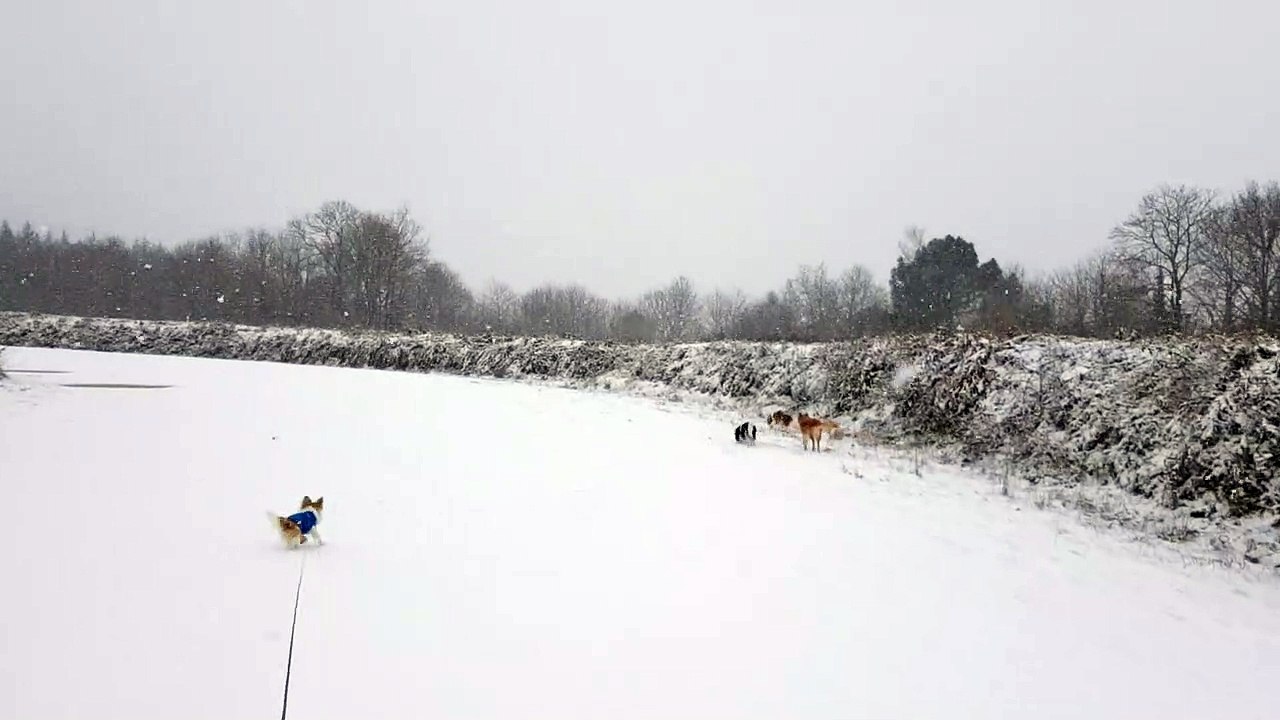Balade dans la neige en Bretagne