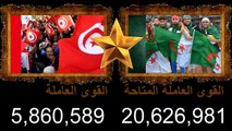 مقارنة القوى العسكرية بين الجيش الجزائري و الجيش التونسي - مقارنة بين الجزائر و تونس 2021