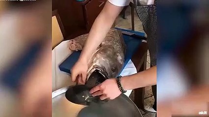 'Balık döner' sosyal medyayı ikiye böldü