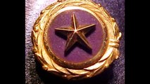 When a Blue Star Turns Gold - Invocation for Gold Star Families with Ann M. Wolf