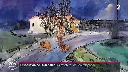 Disparition de Delphine Jubillar : où en est l'enquête ?