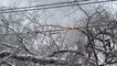 Ice-coated tree branch ignites while weighing down power line