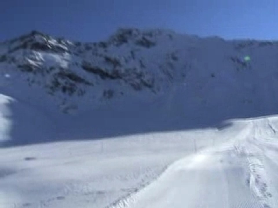 Arc 2000 Golden Retriever Tango