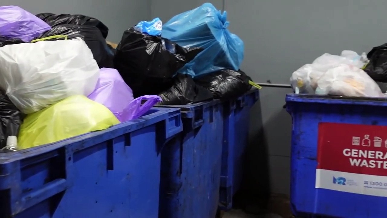 What's in the Dumpster Room Today?