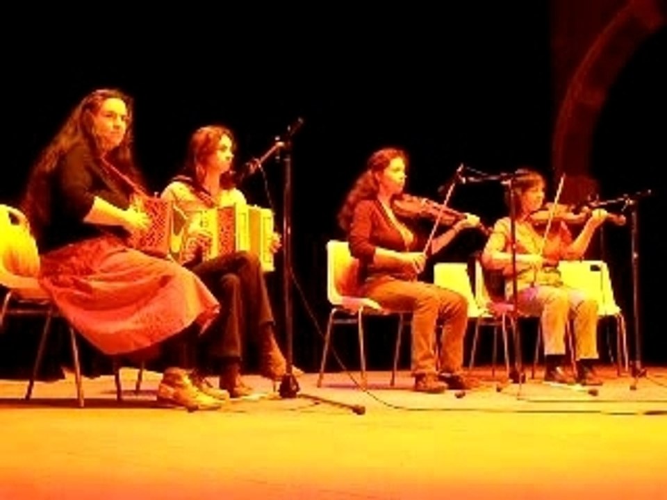 Bourrée laine des moutons