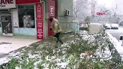 Kadıköy'de otomobillerin üzerine ağaç devrildi
