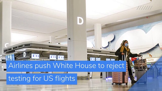 Airlines push White House to reject testing for US flights, and other top stories in business from February 14, 2021.