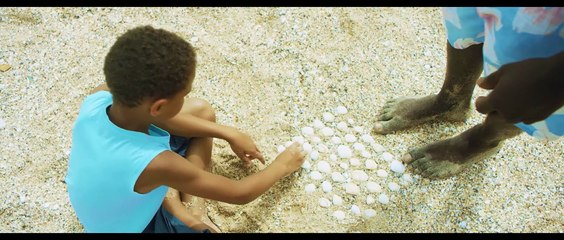 WHITE COLOUR BLACK Trailer