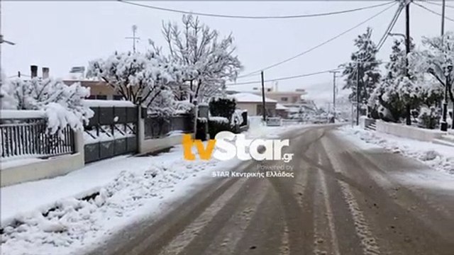 Έντονη χιονόπτωση στη Λαμία - Έπεσε κολώνα στον Σταυρό