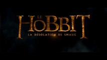 LE HOBBIT - LA DESOLATION DE SMAUG (2013) Bande Annonce VF - HD