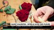C'est aujourd'hui la Saint Valentin : Reportage sur la fleur star, la rose qui a toujours symbolisé l’amour et incarne le désir et la sensualité