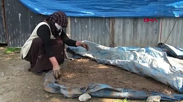 Hatay'da, unutulmaya yüz tutmuş tandır yapımı yaşatılacak