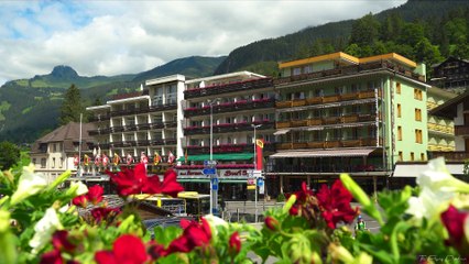 Walk in Grindelwald, Switzerland