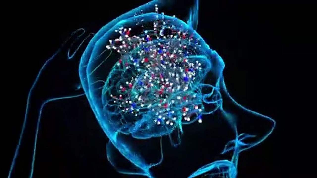 Videografik: Liebesrausch - ein biochemischer Cocktail