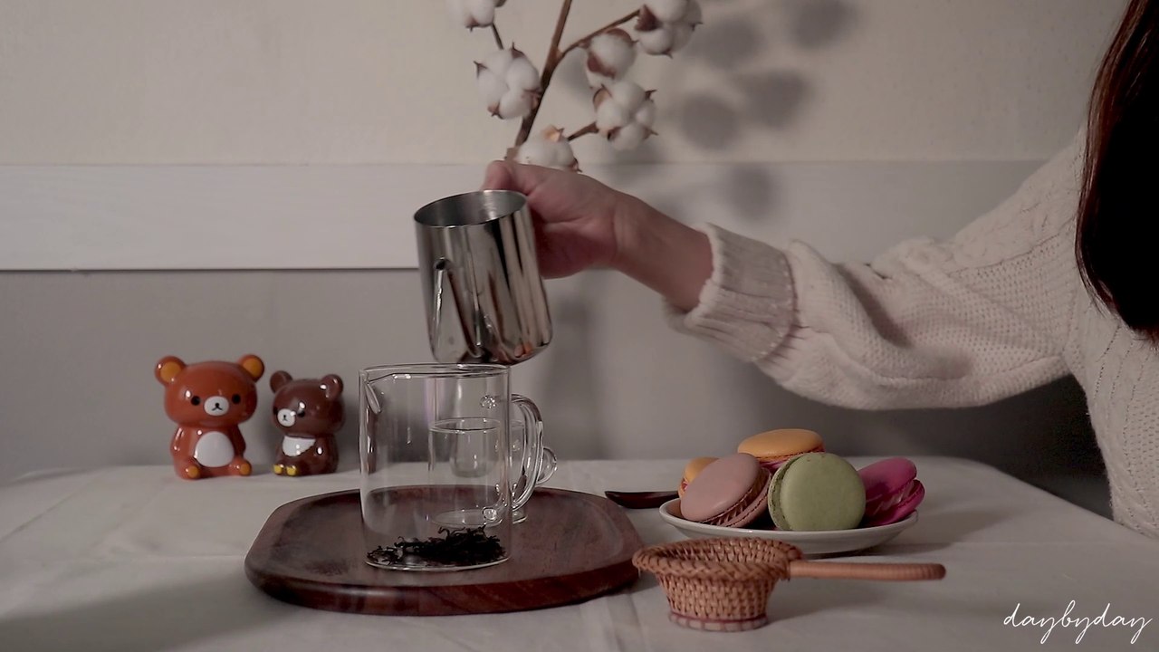 DAILY VLOG: TEA TIME WITH MACARON
