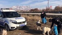 Van polisi sokak hayvanlarını kendi elleriyle besledi