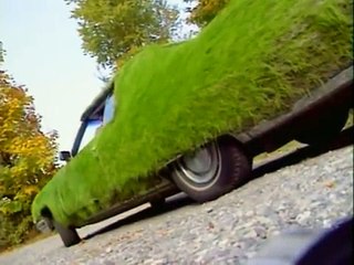 Bill Nye the Science Guy - S03E03 Plants