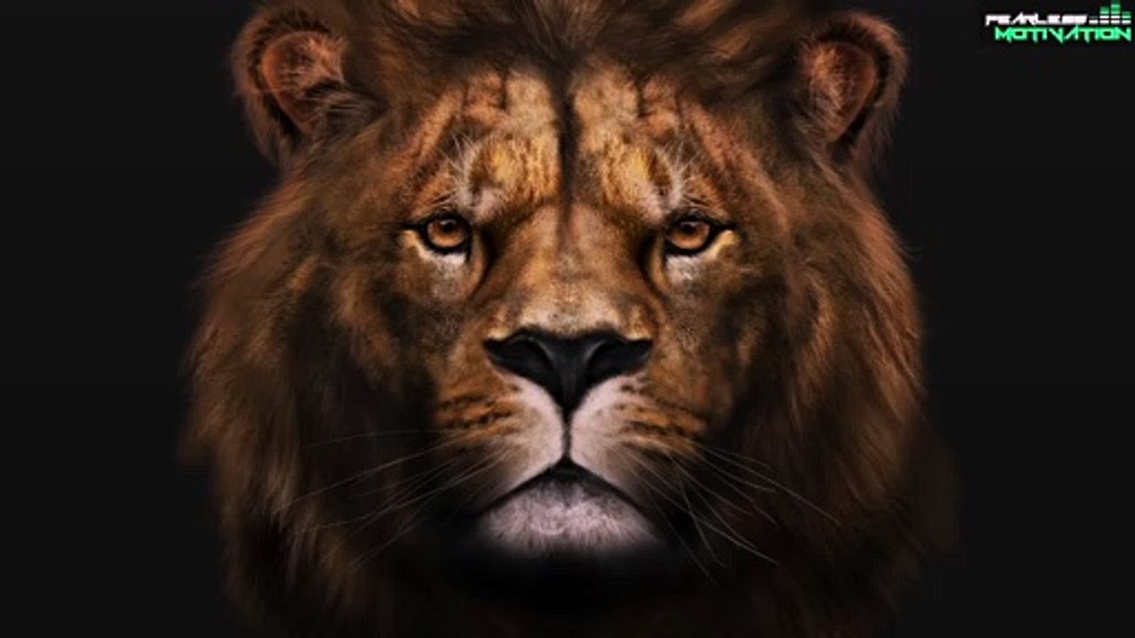 LION MENTALITY (Powerful Motivational Speech)_