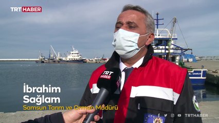 Balıkçılık sektörü büyümeye devam ediyor