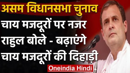 Assam Election: Rahul Gandhi का वादा- 200 Rupaye बढ़ाएंगे चाय मजदूरों की दिहाड़ी | वनइंडिया हिंदी