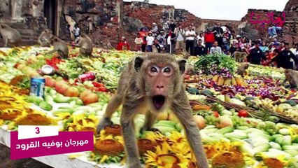 أغرب 10 مهرجانات في العالم