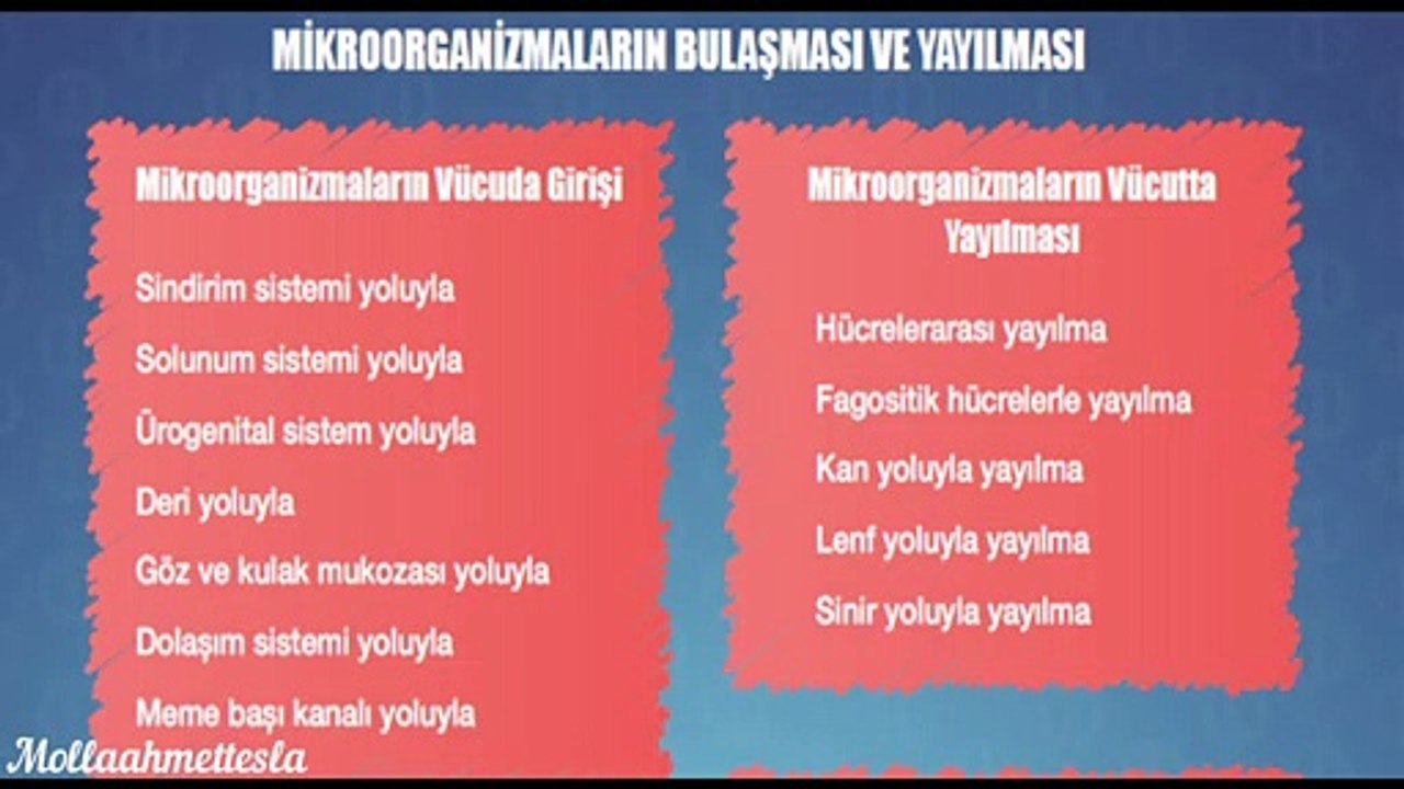 Epidemiyoloji (Sesli kitap)