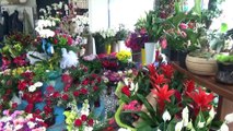 14 Şubat Sevgililer Günü’nde Bodrum’daki çiçekçiler, yoğun mesai yaptı