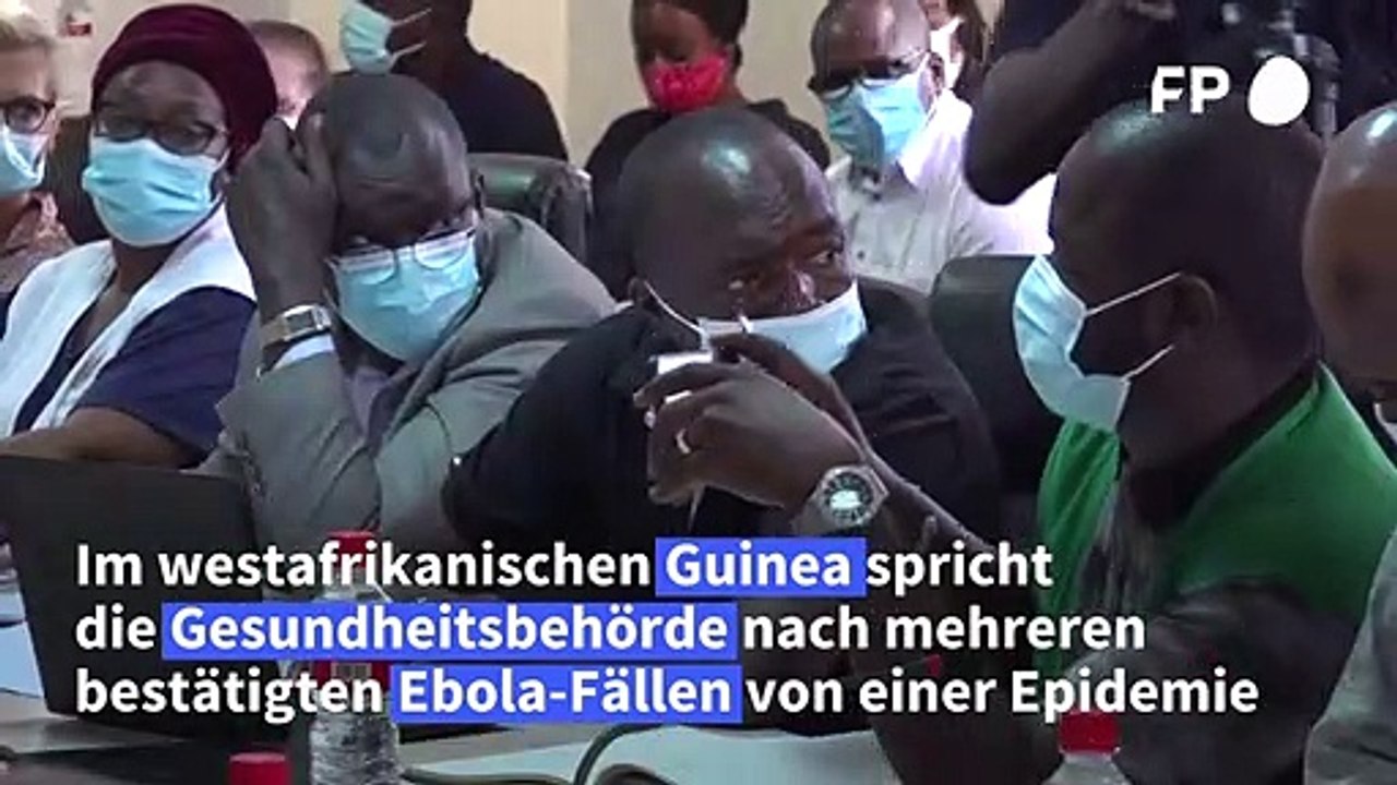 Guinea spricht nach mehreren bestätigten Ebola-Fällen von 'Epidemie'