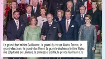 Henri et Maria Teresa de Luxembourg, 40 ans de mariage : ils se rappellent leur coup de foudre