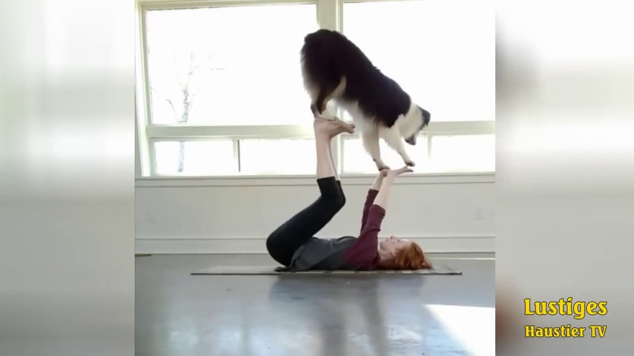 OMG_So_Cute_♡_Best_Funny_Cats_and_Dogs_Compilation(720p)