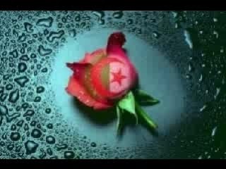 Souvenir Khalass: Memorable Keepsake